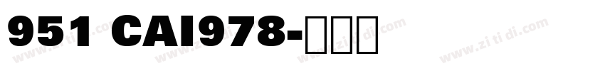 951 CAI978字体转换
